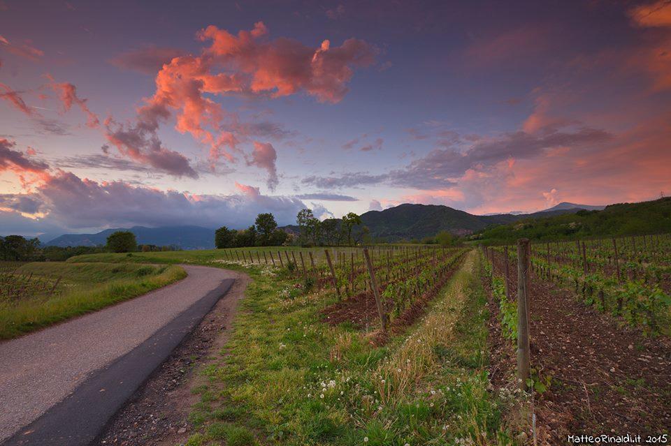 Wine & Lake In Franciacorta Passirano Eksteriør billede