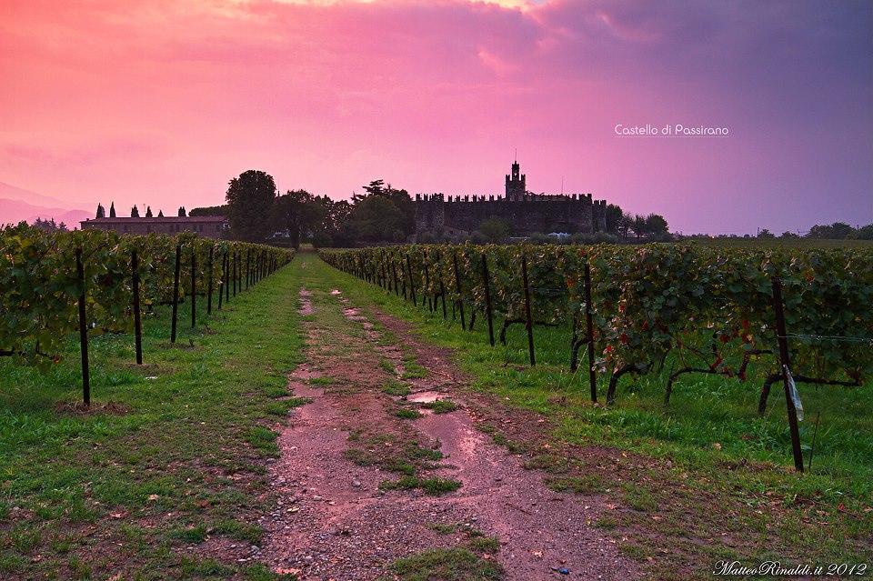 Wine & Lake In Franciacorta Passirano Eksteriør billede